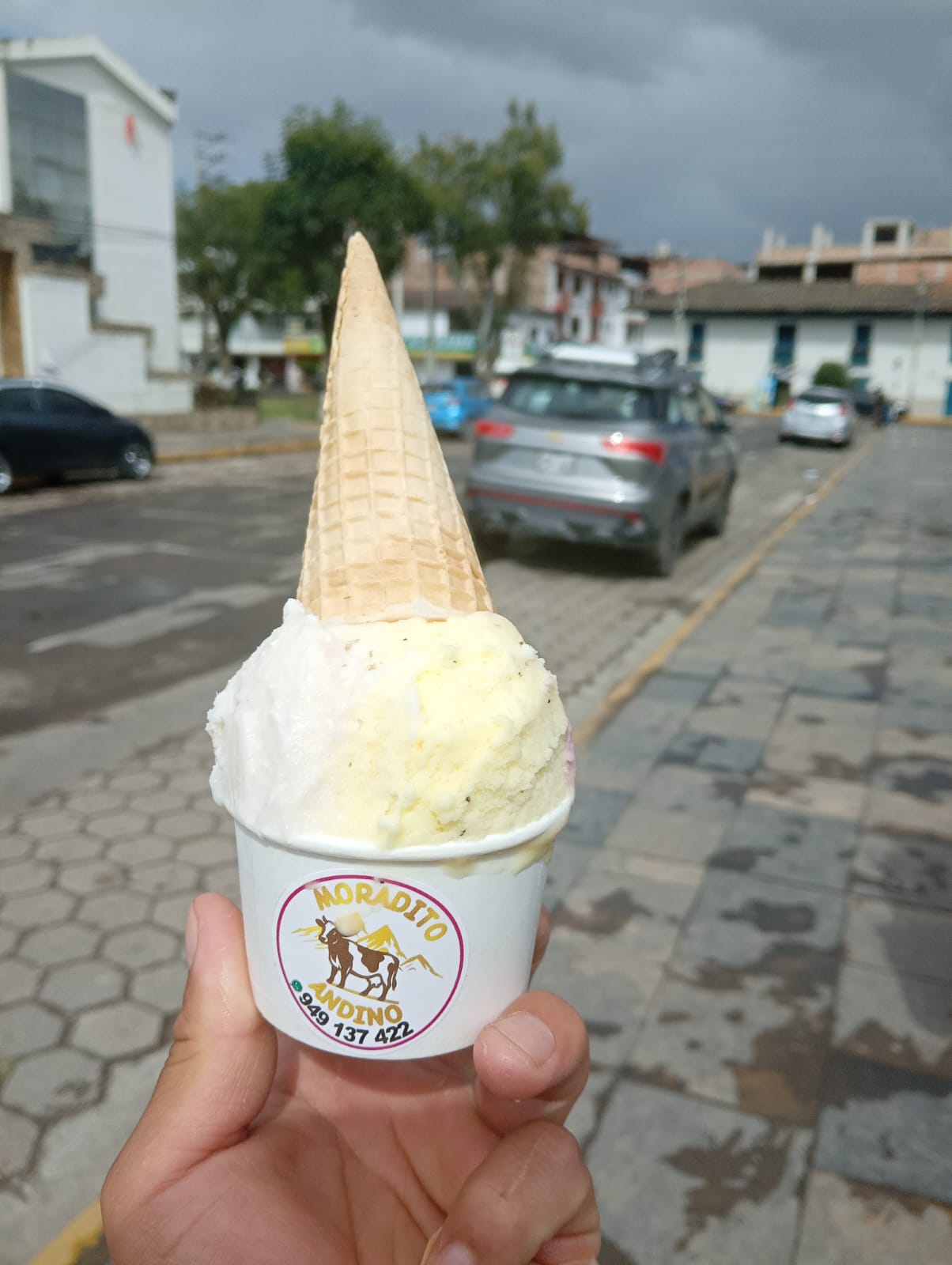 Moradito Andino